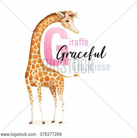 Animal Alphabet For Children, Letter G Is For Giraffe. Cute Graceful Giraffe Representing Letter G, 