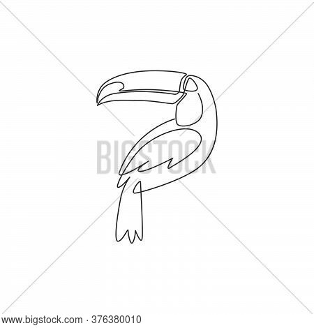 One Continuous Line Drawing Of Cute Toucan Bird With Big Beak For Logo Identity. Exotic Animal Masco