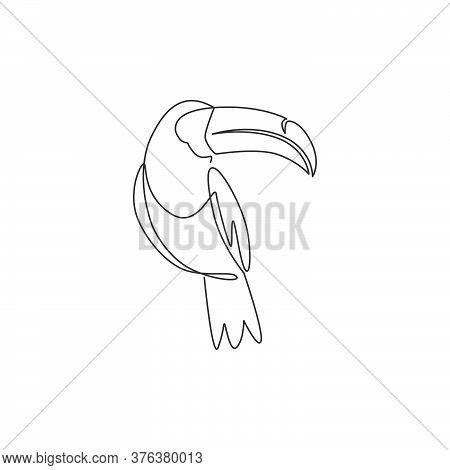 Single Continuous Line Drawing Of Adorable Toucan Bird With Big Beak For Logo Identity. Endangered A