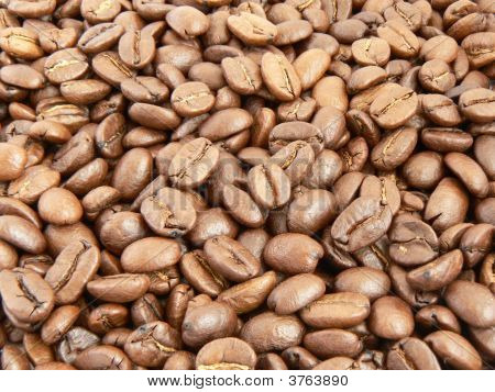 Grain Coffee