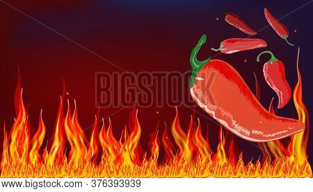Pods Of Red Hot Pepper On The Background Of The Flame. Dark, Fiery Background. Vector Illustration F