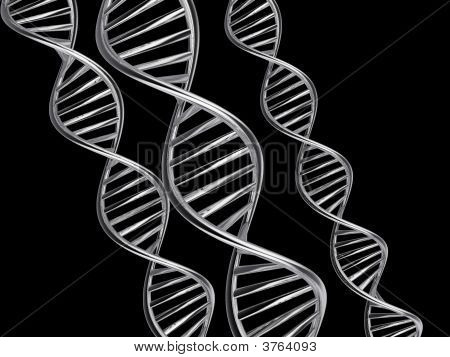 Dna 的结构