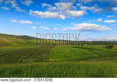 Beautiful Spring And Summer Landscape. Lush Green Hills. Spring Blooming Herbs.
