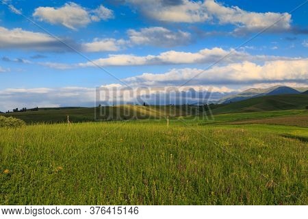 Beautiful Spring And Summer Landscape. Lush Green Hills. Spring Blooming Herbs.