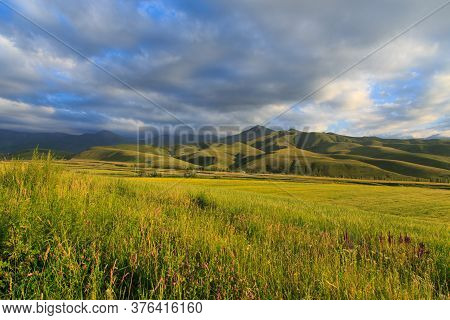 Beautiful Spring And Summer Landscape. Lush Green Hills. Spring Blooming Herbs.