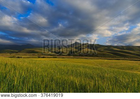 Beautiful Spring And Summer Landscape. Lush Green Hills. Spring Blooming Herbs.