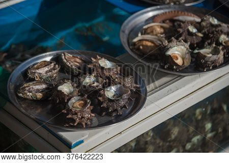 Fresh Sea-shells Collected By Haenyeo (female Divers; Unesco Intangible Cultural Heritage List, In 2
