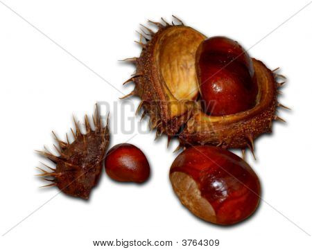 Chestnuts