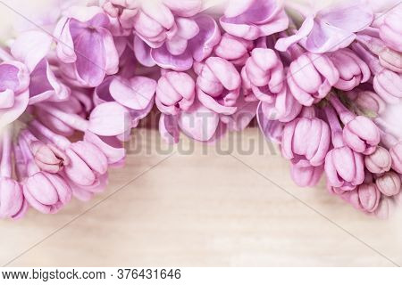 Natural Floral Background With Blooming Pink Lilac Close Up On Blurred Wood. Floral Desktop Wallpape