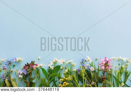 Wildflowers Colorful Border On Blue Paper Background, Flat Lay With Space For Text. Blooming Spring