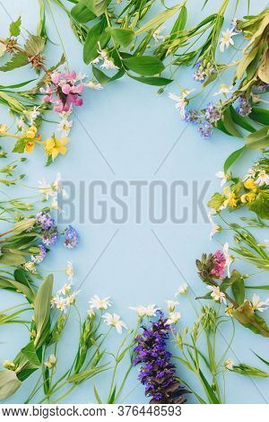 Wildflowers Colorful Frame On Blue Paper Background, Flat Lay With Space For Text. Blooming Spring F
