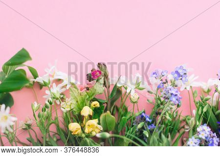 Floral Flat Lay Of Colorful Spring Wildflowers On Pink Paper Background, Space For Text. Floral Gree