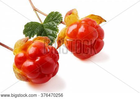Two Ripe Berry Cloudberry (rubus Chamaemorus) Close-up Isolated On White Background