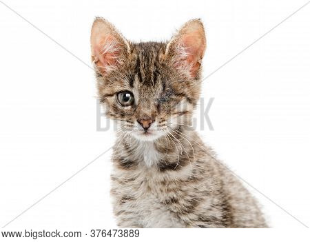 Beautiful Striped Fluffy Kitten With One Eye. Background Is Isolated.