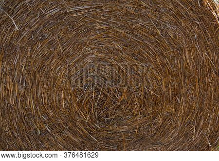 Hay Ball Background. Background Of Yellow. Bales Of Hay
