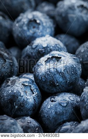 Blueberries Close-up In Full Screen With Dew Drops.