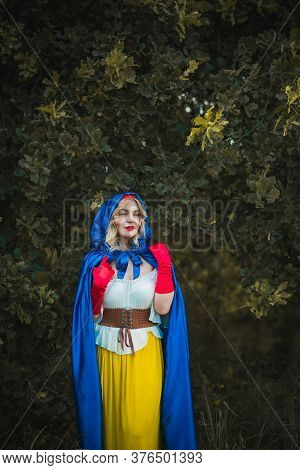 Halloween Party, Ideas For Girls, Costume Snowwhite Girl, Cosplay For Fairy Tale Heroes