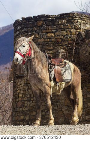 Georgia, Borjomi National Park Kharagauli - Horseback Trip To The Ruins Of The Castle In The Mountai