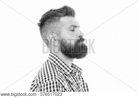 Charismatic Male Looking Serious. Mustache From Barber. Mature Hipster With Beard. Trendsetter Hipst