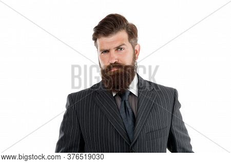 Business Man Wear Suit. Serious Bearded Man. Boss Or Director. Handsome Hipster White Background. Me