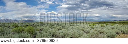 Long Valley Next The Lake Crowley, Mono County, California. Usa. Green Wetland With Mountain On The 