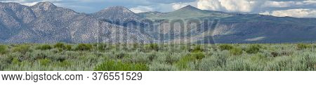 Long Valley Next The Lake Crowley, Mono County, California. Usa. Green Wetland With Mountain On The 