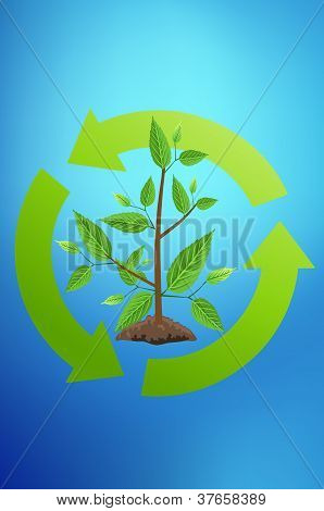 Ecology Concept