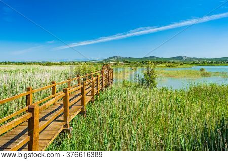 Nature Park Vrana Lake (vransko Jezero), Dalmatia, Croatia, Wooden Path In Observation Park