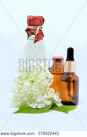 White Hydrangea Flowers  And A Bottles With Oil, Tincture, Extract For Cosmetics And Natural Remedie