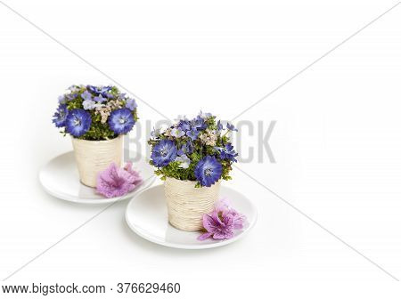 Two White Cup With Flowers Inside On A White Background