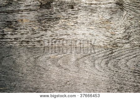 Wood Texture