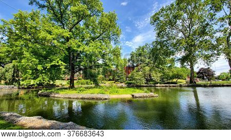 Pond In The Summer Time. Green Trees