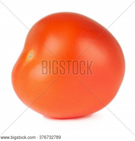 Tomato Solanaceous Garden Plant Isolated On A White Background.