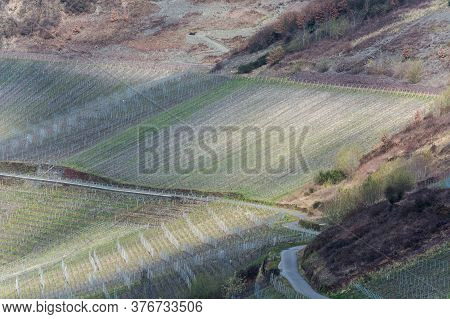 Winding Road Through The Vineyards On The Mosel In Germany.