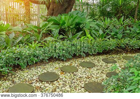 Circle Shape Of Pattern Walkway Stepping Sand Stone On White Gravel In A Backyard Garden Of Lush Gre