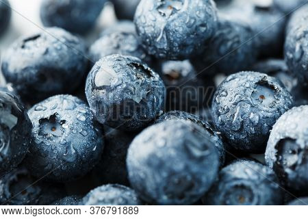 Blueberries Close-up In Full Screen With Dew Drops.