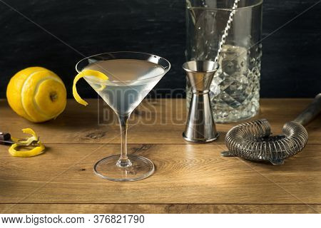 Boozy Refreshing Gin Martini