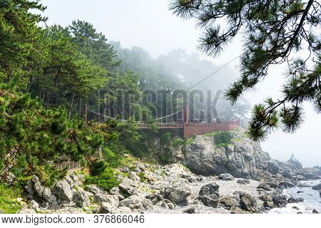 Busan,south Korea - July 20, 2017:  The Wooden Suspension Bridge On The Rock Cilff In Haeundae Dongb