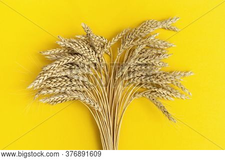 Bunch Of Compressed Stems With Ears. Golden Wheat On Yellow Paper Background. Wheat Close Up. Rich H