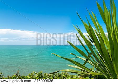 Koh Proet Island,the Green Leaves With The Backdrop Of The Emerald Green Sea And The Clear Sky.koh P