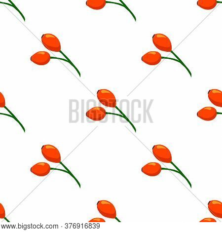 Illustration On Theme Big Colored Seamless Rose Hip, Bright Berry Pattern For Seal. Berry Pattern Co