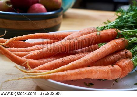 Fresh  Healty Carrots With Green Fresh Leaves.
