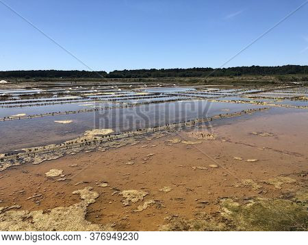 View Of The Famous Salt Marshes Of Guerande, France