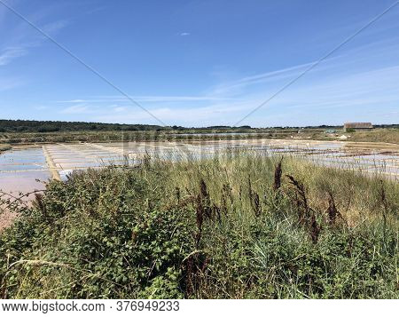 View Of The Famous Salt Marshes Of Guerande, France