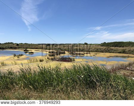 View Of The Famous Salt Marshes Of Guerande, France
