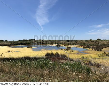 View Of The Famous Salt Marshes Of Guerande, France