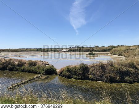 View Of The Famous Salt Marshes Of Guerande, France