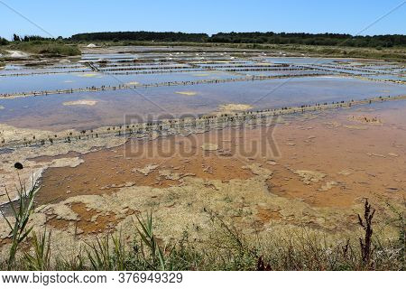View Of The Famous Salt Marshes Of Guerande, France
