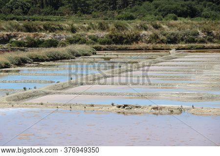 View Of The Famous Salt Marshes Of Guerande, France