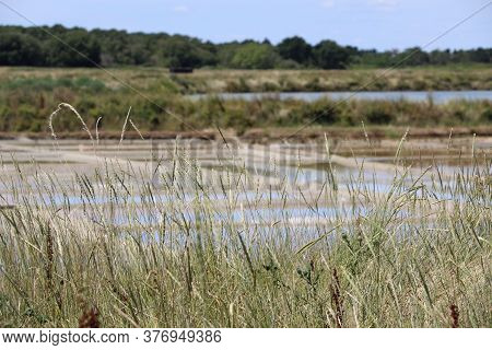 View Of The Famous Salt Marshes Of Guerande, France